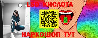 Альфа ПВП Гатчина