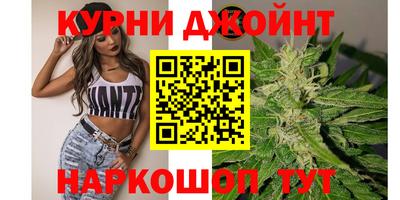 Альфа ПВП Гатчина