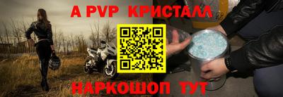 эйфоретик Гай
