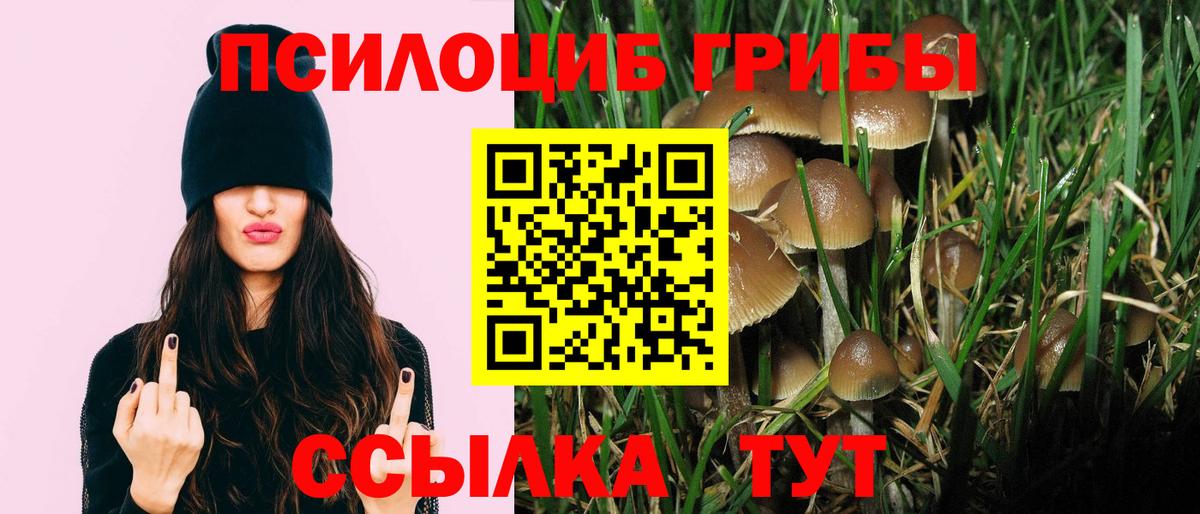 Псилоцибиновые грибы мухоморы  Псилоцибиновые грибы GOLDEN TEACHER  Глазов  Вход с VPN 